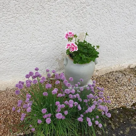 Au Grés Du Vent